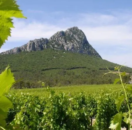 Au Calme Centre Historique