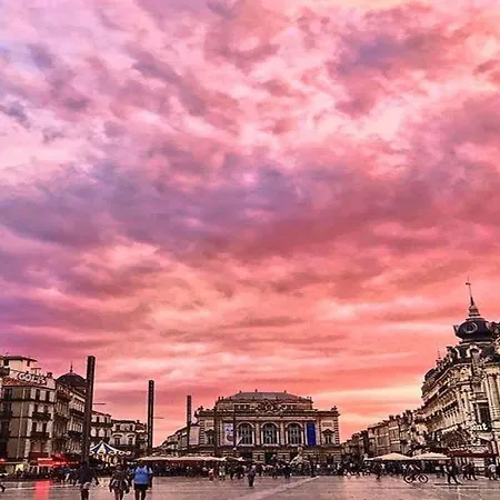 Appartement Au Calme Centre Historique Montpellier